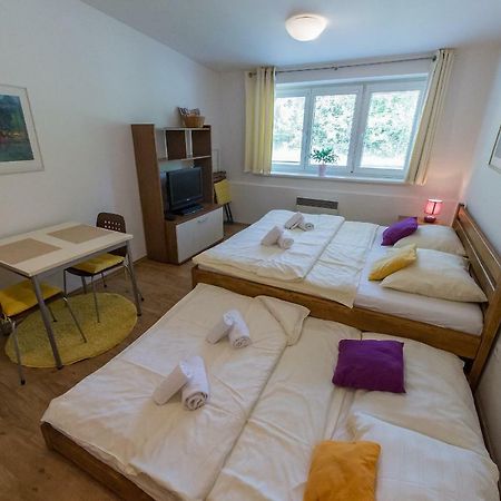 Apartman Lipno 20 Lipno nad Vltavou Εξωτερικό φωτογραφία